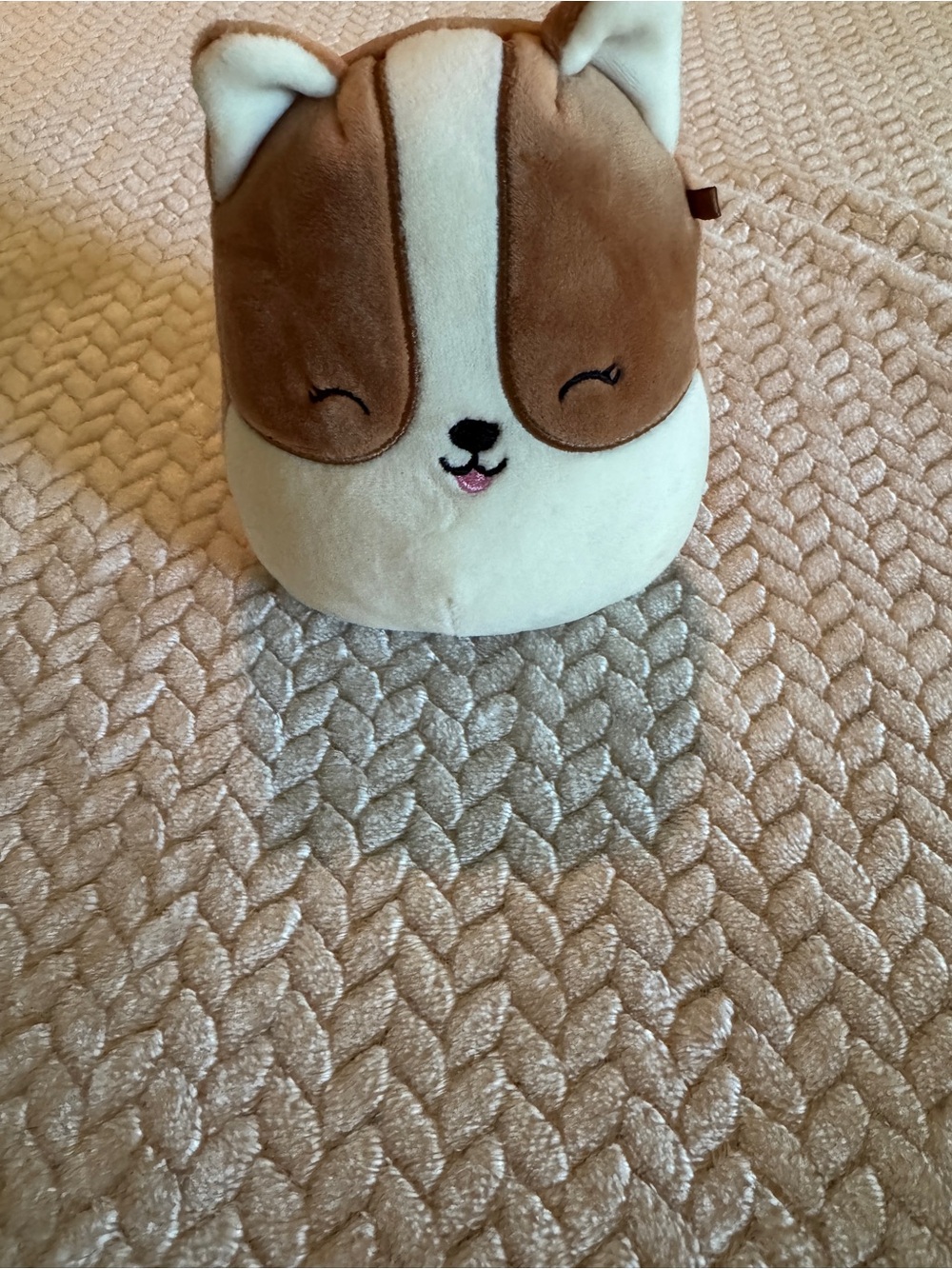 Squishmallows Regina the Corgi 5 Inch Brown White Dog Plush Kellytoy Stuffed Toy